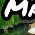 Axolotl Tank Mates Keep With Fish