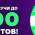 10 часов капибары Лига Ставок