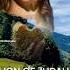 LION OF JUDAH MY TRUST IS IN YOU SUBSCRIBE PLEASE