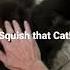 Squish That Cat