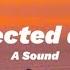 A Sound Unexpected Answer Lyrics