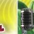 Jodl Jodl Dance AUDIO TRACK Gummibär The Gummy Bear