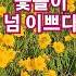 전유진이 불러 명곡이된 노래는 꽃길