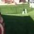 Meegan Gould Weasel Stomping Day