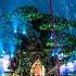 Tomorrowland 2023 Festival Mix 2023 Best Songs Remixes Covers Mashups