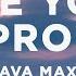 Ava Max Maybe You Re The Problem Lyrics