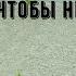 Какой материал постелить под щебень чтобы не росла трава