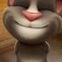 Talking Tom Ka Ka Po Song