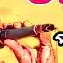 ওর আল ল প ওয সহজ কথ নয Allah Pawya Sohoj Kotha Noy Viral Song Baul Mintu Gaan Jewel Rtv