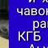 Хочи мирзо тогутпарасти чохили гумрох мегуяд КГБ шавен да давлат хизмат кнед Гуш кунед мефахмед
