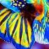 The Colors Of The Ocean 8K ULTRA HD The Best 8K Sea Animals For Relaxation Calming Music