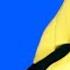 BANANA SONG REMIX I M A Banana