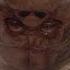 Harry And The Hendersons 2 9 Movie CLIP It S Alive 1987 HD