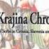 History Book Review The Krajina Chronicle A History Of Serbs In Croatia Slavonia And Dalmatia