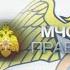 МЧС ПРАВО изменения в правилах противопожарного режима