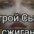 настрой Сытина на сжигание лишнего жира настройсытина настройсытинаслушать настроисытина