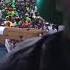 Alikiba Live In KIGOMA