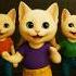 Shanivar Raati Shortsfeed Shorts Viralvideo Viralshorts Cat Dance Youtubeshorts