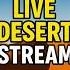 Feel The Desert LIVE 1 Hour Of Pure Wind Sand Ambience