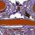 Klasky Csupo In G Major 392 Powers 1 10