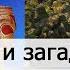 Тайны и загадки Дальнего Востока Новый формат