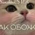 5mewmet я так обожаю SunshineSVK Cover