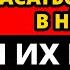 Секрет который знает только 1 женщин и который сводит с ума любого мужчину Карл Юнг