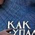 Как слониха упала с неба русский трейлер субтитры мультфильм 2023 Netflix