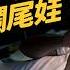 中國大量年輕人 假裝上班 自嘲成為 爛尾娃 中國青年失業率究竟有多嚴重 志祺七七