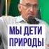 Мы дети природы Торсунов О Г