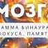 Активация мозга 40 Гц Гамма Бинауральные Ритмы для Фокуса Памяти и Концентрации