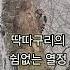 설중매화