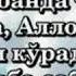 Tavba