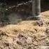 7 5 HP Solar Pump Testing In IVRI BAREILLY