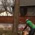 Mark Cutting A Tree To Fall A Different Direction
