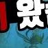 심해공포증을 가진 쫄보가 바다 한가운데 떨어졌습니다 서브노티카