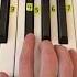 Lovely Billie Eilish Easy Piano Tutorial