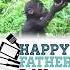 Happy Father S Day 2023 Baby Gorilla And Daddy Shorts Fathersday