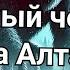 Снежный человек на Алтае Мистическая история из глубин тайги