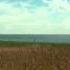 STING Fields Of Gold HQ HD