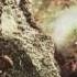 Bonnie Tyler I Put A Spell On You