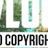 Ehrling Typhoon Vlog No Copyright Music