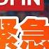 Redfin CEO紧急警告 美国房市危机全面爆发