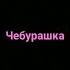 Хабиб Чебурашка