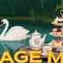 Swans On A Quiet Lake 1940s Oldies Music Playing In Another Room