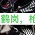 1995年黑龙江鹤岗枪击案 枪杀11人的恶性抢劫 下