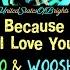 Because I Love You Wooshendoo Instrumental Remix