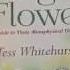 The Magic Of Flowers By Tess Whitehurst Witchcraft Witchcraftbooks Wicca Witchesofyoutube