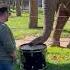 Adorable Elephant Learns To Play The Drums Elephants Shorts