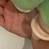 ASMR Hands Trampling Challenge Trample Handstrample
